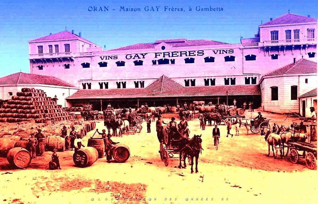 Oran- Vins Gay.jpg